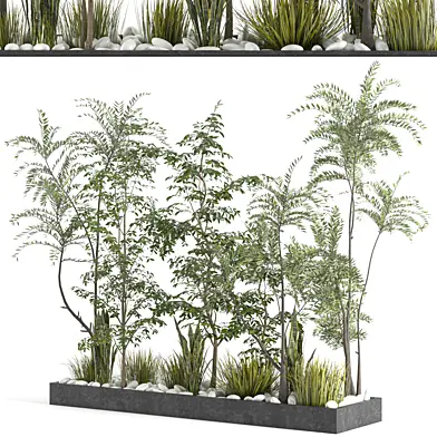 Collection Indoor plant vol 48