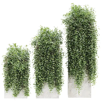 Plants Set 54