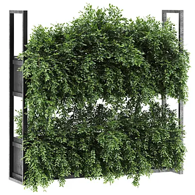 Plants Set 55