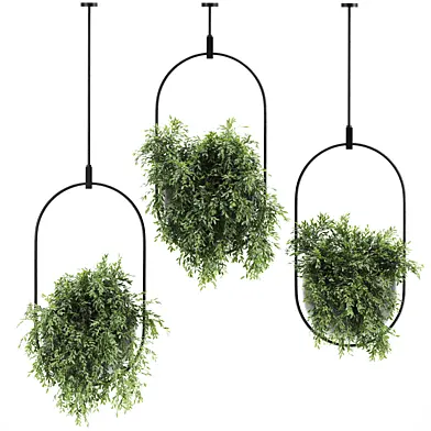Plants Set 57