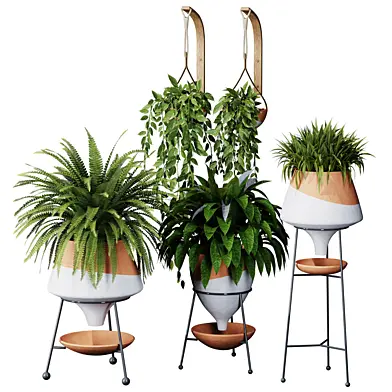Indoor Plant set 38