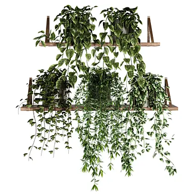 Indoor shelf plants set39