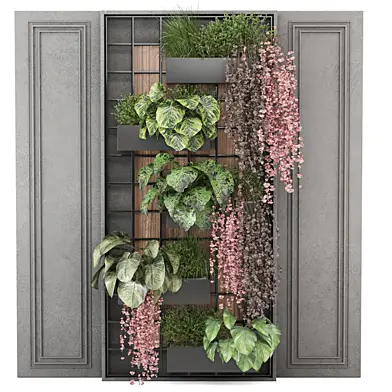 indoor Plants Collection - Set 964