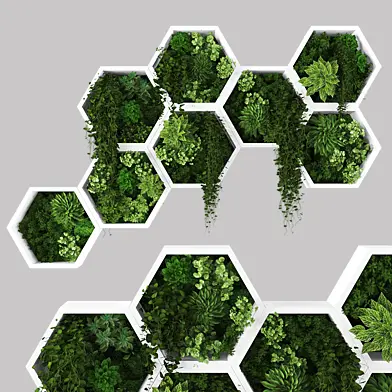 Vertical garden 230