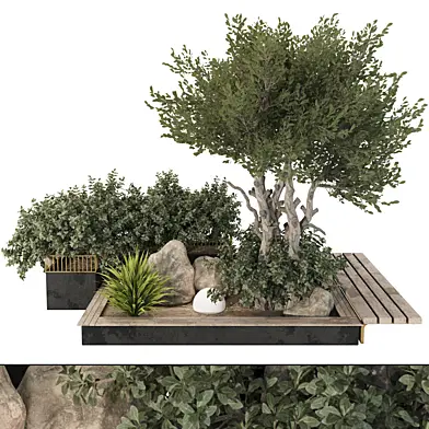 backyard and landscape garden tree and bush set 226