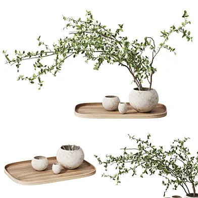 plum branch