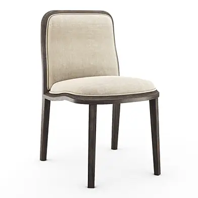Christophe Delcourt - BAK chair