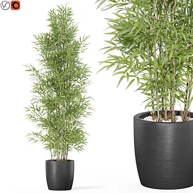 Plants collection 1008