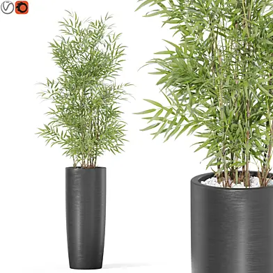 Plants collection 1009