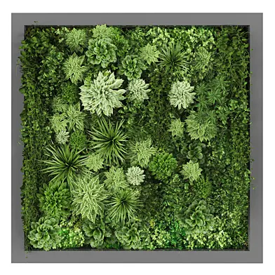 Vertical garden 236