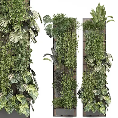 indoor Plants Collection - Set 1106