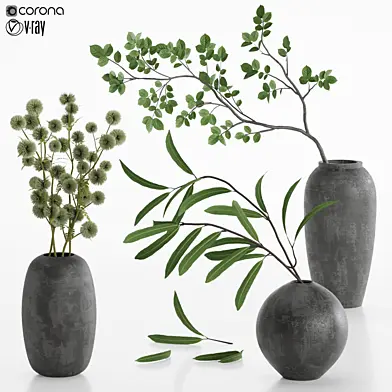 plant set 16