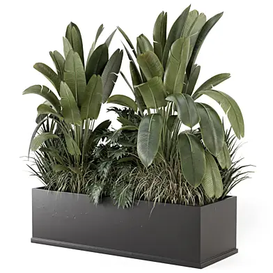 Outdoor Plants Bush  in Handmade Black  Pot - Set 1877