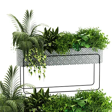 Indoor plants in box set-70