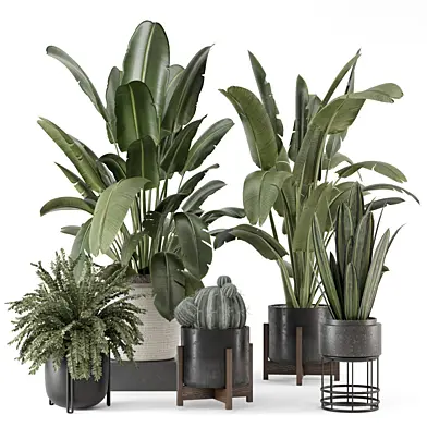 Indoor Plants in Combination of Wood & Stone Pot - Set 1891