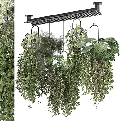 indoor hanging plants in metal box _  Set 1025