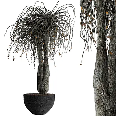 Dead Tree Potting Set
