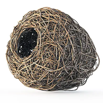 Nest n1