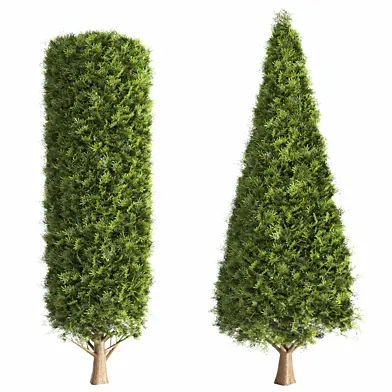 bush tree-01