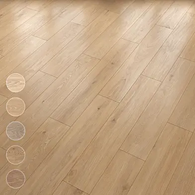 CAESAR Cocoon s1