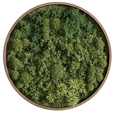 Circle Plant Frame - Fitowall 103