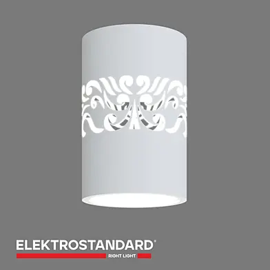 ОМ Накладной светодиодный светильник с подсветкой Elektrostandard DLS025