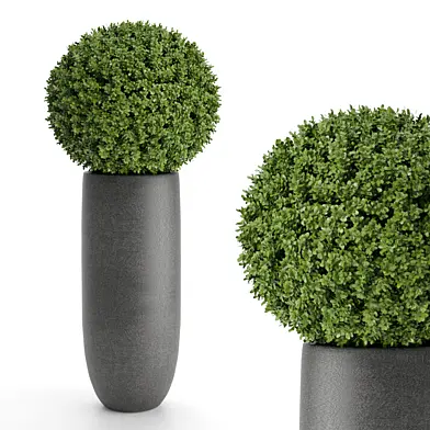 treez plants set 37