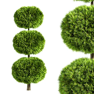 Tree4