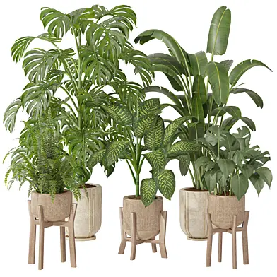 Plants set 01