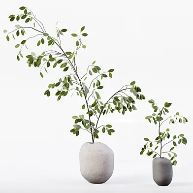 Plant Bouquet 07