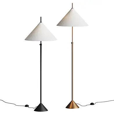 Crate and Barrel Seymour Telescoping Brass Metal Floor Lamp