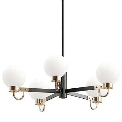 Ryan 5