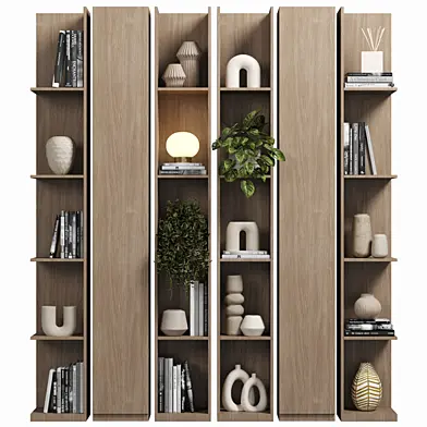 Cabinet with shelves 091