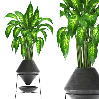indoor plant set034