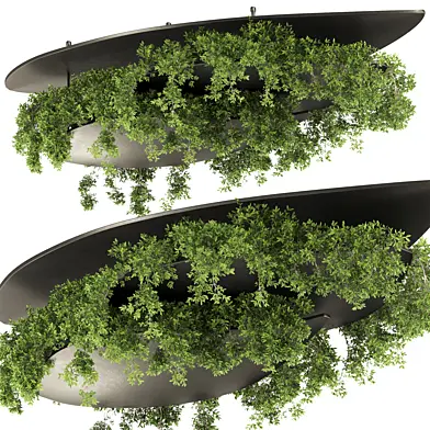 Indoor plants-Hanging plants set-21
