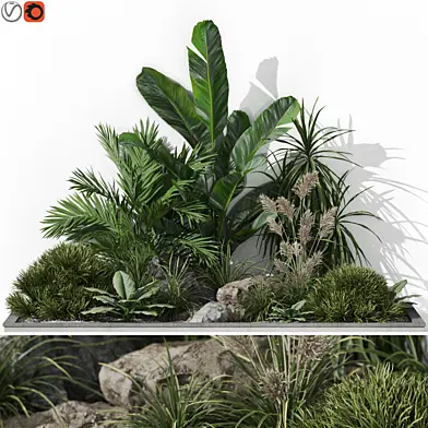Plants collection 1044