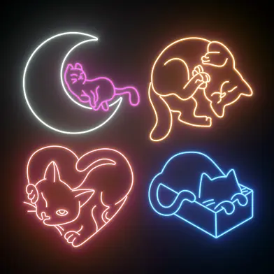 Neon 290