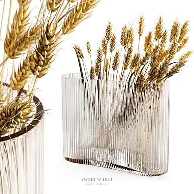 Sweet wheat