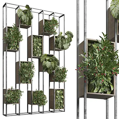 indoor Plant 505