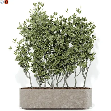 Indoor plant