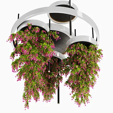Indoor plants-Hanging plants set-28