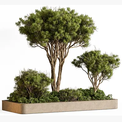 Plant Box - Outdoor Plants 630