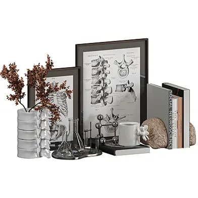 Decorative Set for Medical Institutions