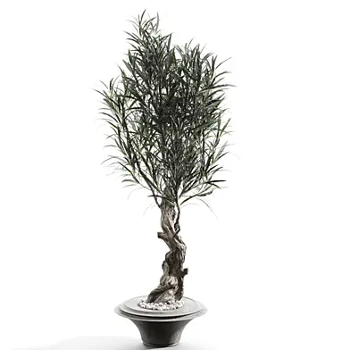 Branches in vases 90