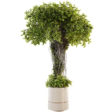 Decorative Indoor Plant and Ivy Branches in Pot