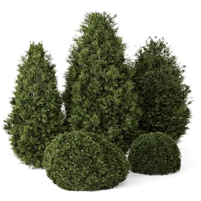 Outdoor Plants Bush -Bush Set 2300
