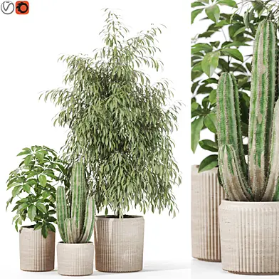 Plants collection 1103
