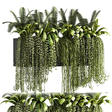outdoor plants-ivy plants set-13