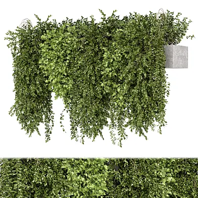 Indoor Hanging Plants in Gray Pot - Set 2364