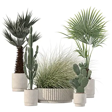Plants collection 216 - palm grass cactus